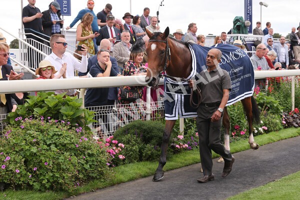 yr19082022r4-119 - Race 4 3.35pm Coolmore Wootton Bassett Nunthorpe Stakes (British Champion Series Race)