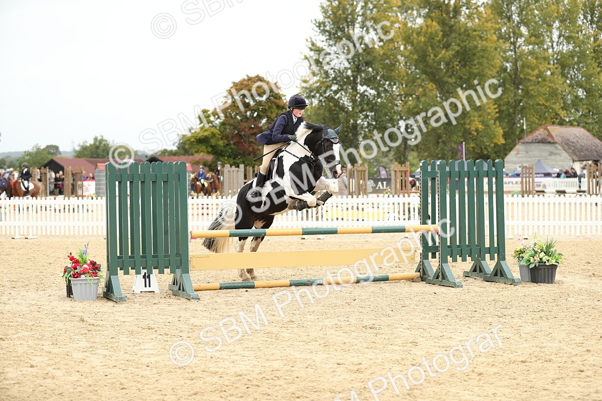 SBM_59544 - J25 - Junior Horse 80cm Championship