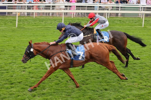 yr20082021r7-30 - Race 7 5.10pm Sky Bet Mile