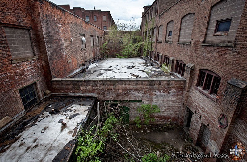 The Scranton Lace Company | War Zone - Scranton Lace Company