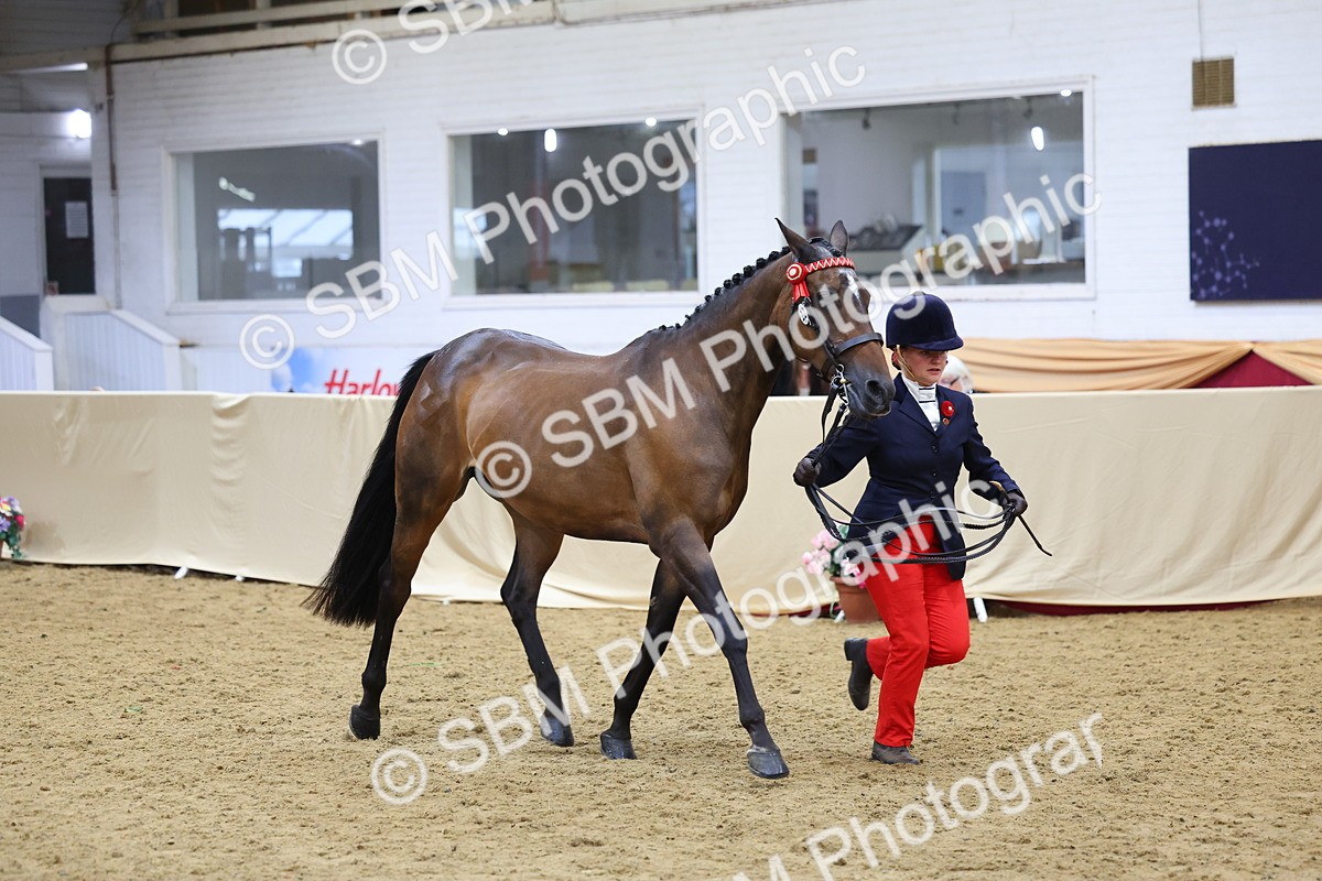 SBM_21095 - Class 902 - Supreme Final IH Veteran