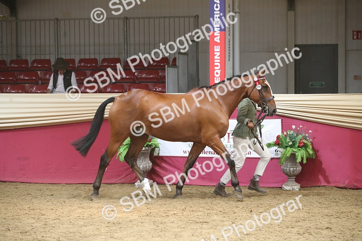 SBM_05504 - Class 9R - Regional IH Pre-Vet