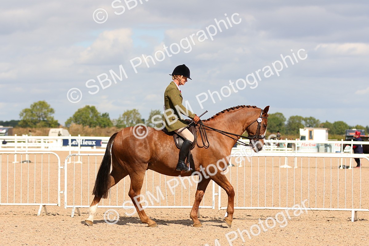 SBM_13176 - Class 211 - Ridden Hunter - Small
