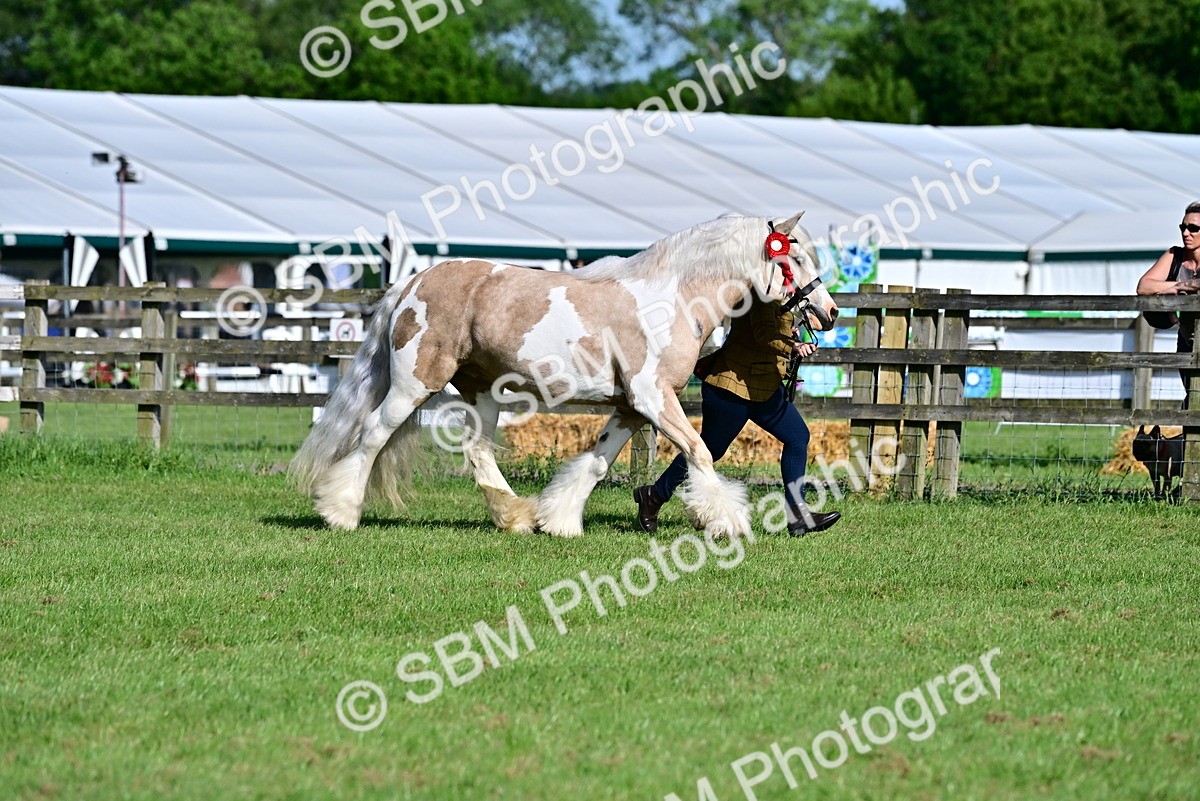 SBM_10140 - Class 63-65 - Traditional Gypsy Cobs In Hand & Ridden