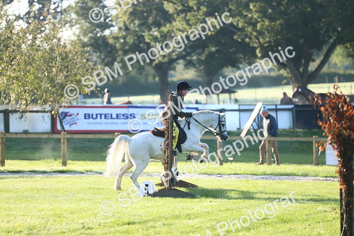 SBM_31766 - S28 - Nursery Stakes Working Hunter Pony