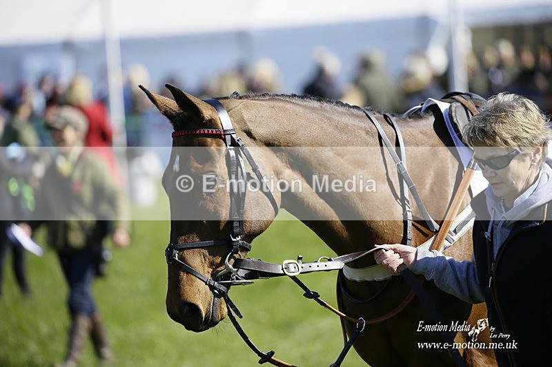 PtP 200322 2 - Mendip Farmers Point-to-Point 20/03/22