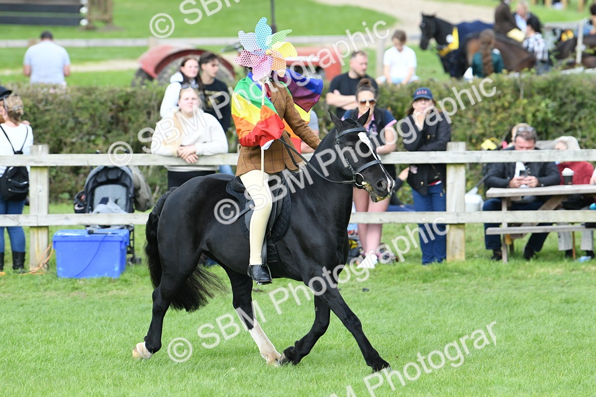 SBM_47065 - S12 - Family Horse & Pony