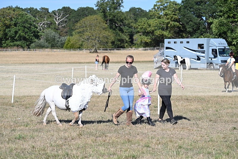 WJ7_2756 - Class 45 Fancy Dress (My Fav)