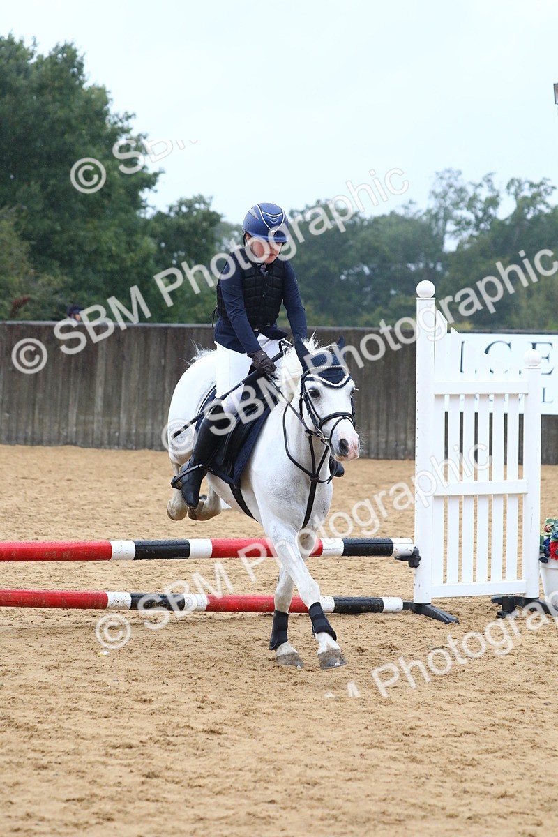 SBM_71601 - J4 - Mini Tour Junior Pony 45cm Championship