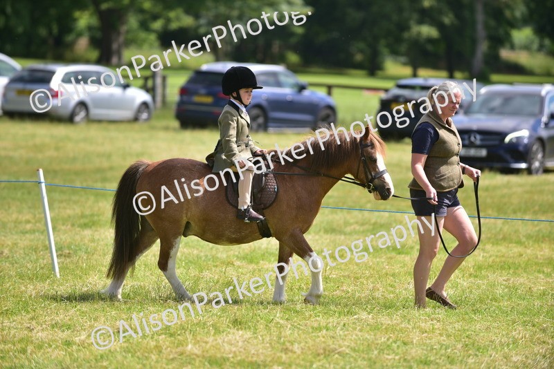 20260614-1113 - Class 11a - Lead Rein Pony (Unplaited)