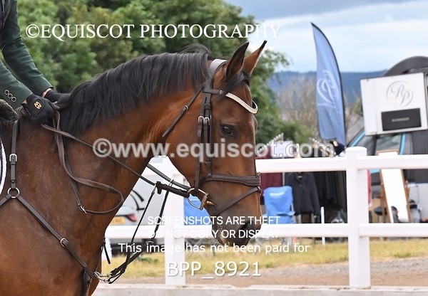 BPP_8921 - CLASS 20 SAT GFS Saddles Senior Newcomers/1.10m Open