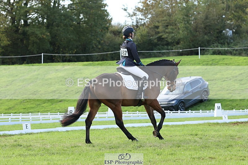 251024A-141140-12559 - F-487-Polly.McHardy