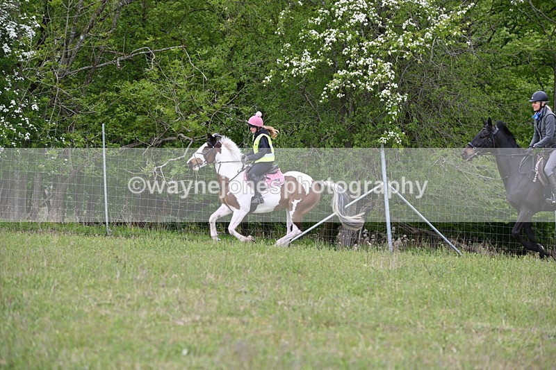 WJ6_1908 - Group 8 A&B Cameras