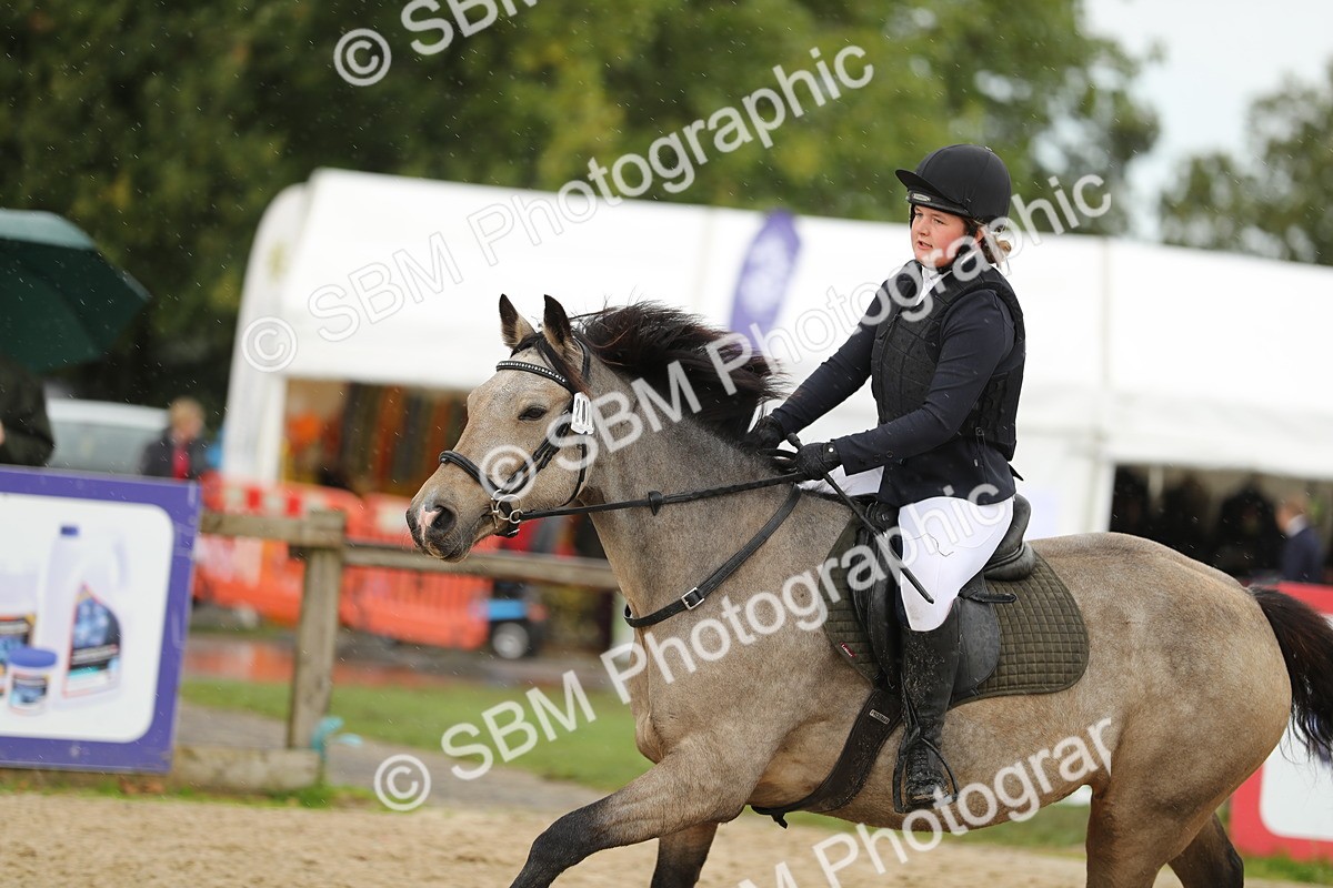 SBM_40394 - J21 - Junior Horse 60cm Championship