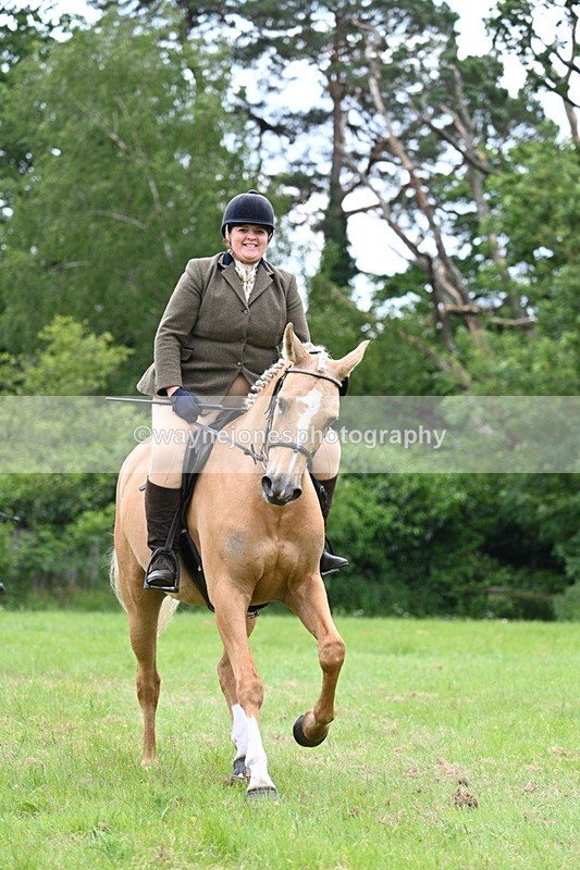 WJ7_2146 - Class 12A Coloured Class