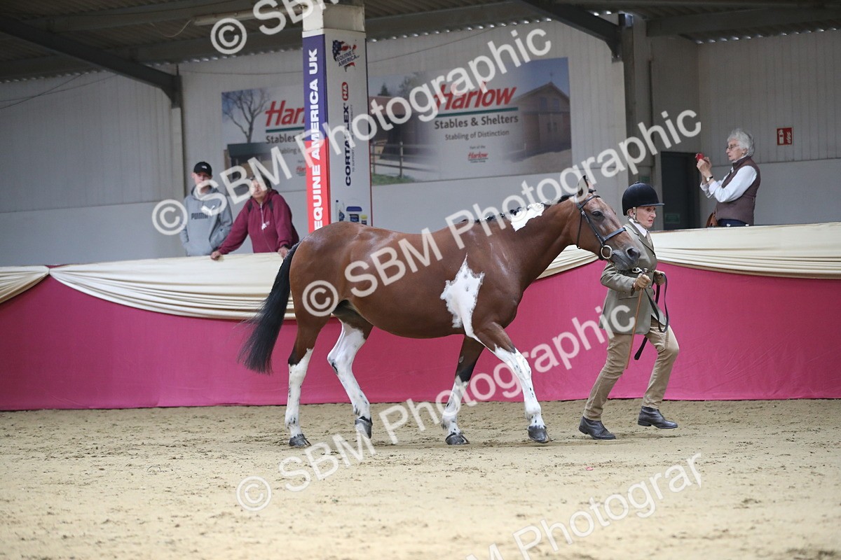 SBM_01305 - Class 3a Area IH Pre Vet