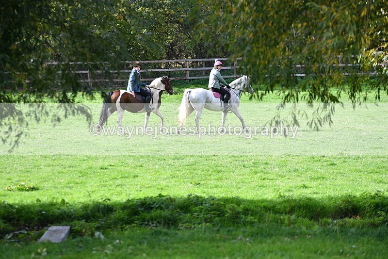 WJ5_7980 - Time 10:31 to 12:01