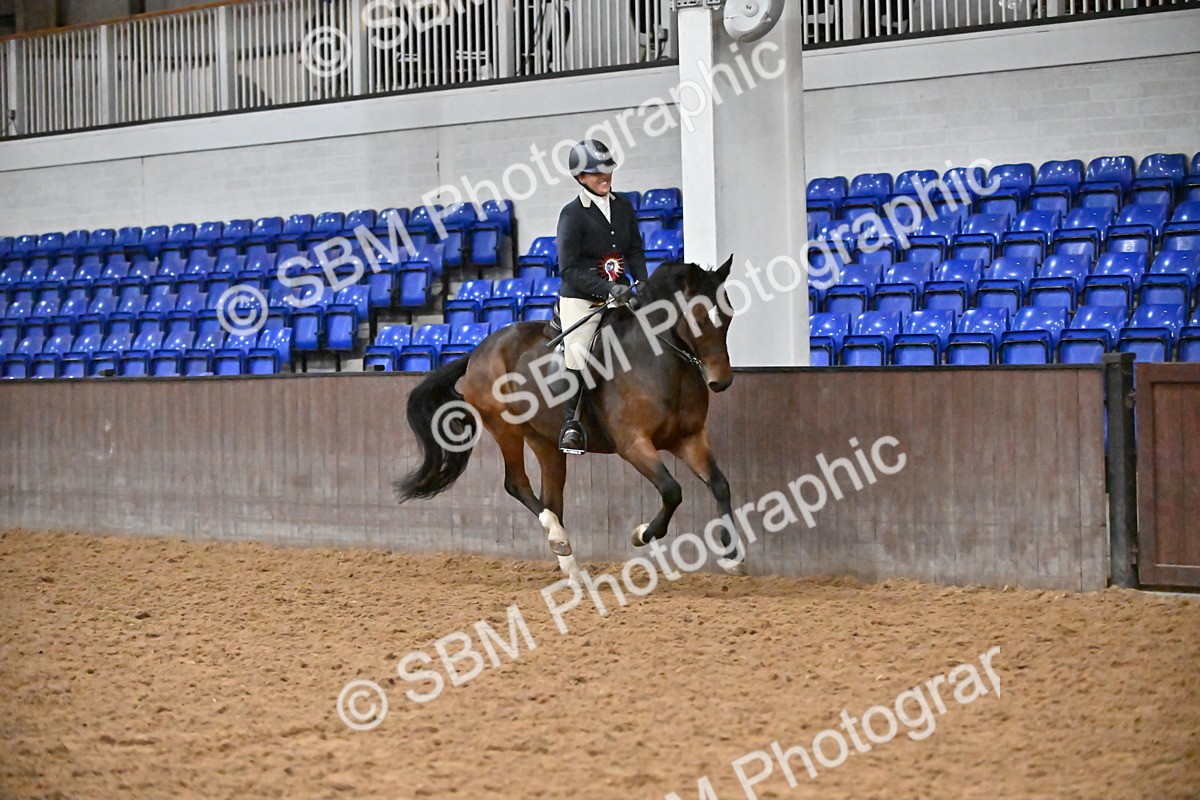 SBM_003066 - Class 37,38 - UKPSAF Performance Horse & Pony