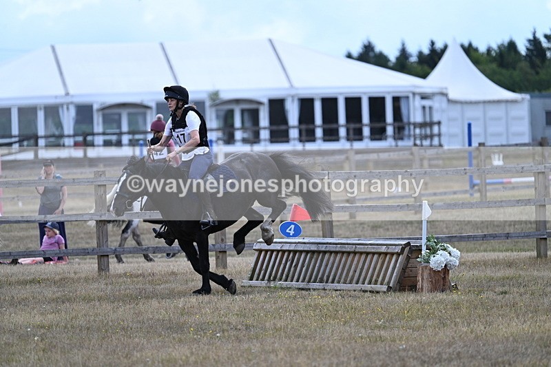 WJ7_0731 - 60cm Time 12:26 to 12:46