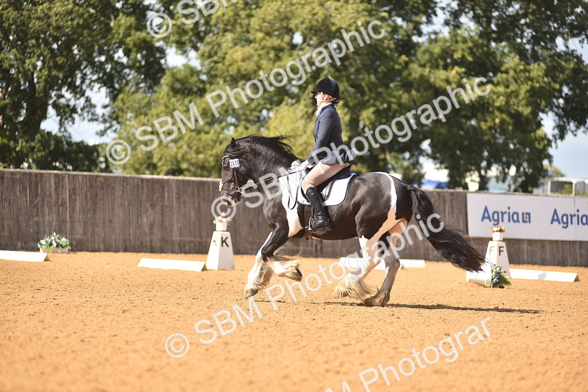 SBM_22502 - D13 - Grand Tour Championship Prelim 3