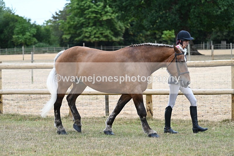 WJ7_8905 - Class 4a Prettiest Mare 14.2hh and over