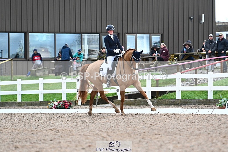 240218A-104059-06182 - 272-Beth.Bainbridge-Newton.Dreamcatcher