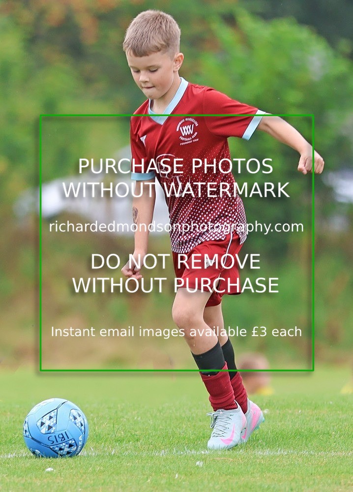 533A1780 - Westgate Wanderers Under 8's