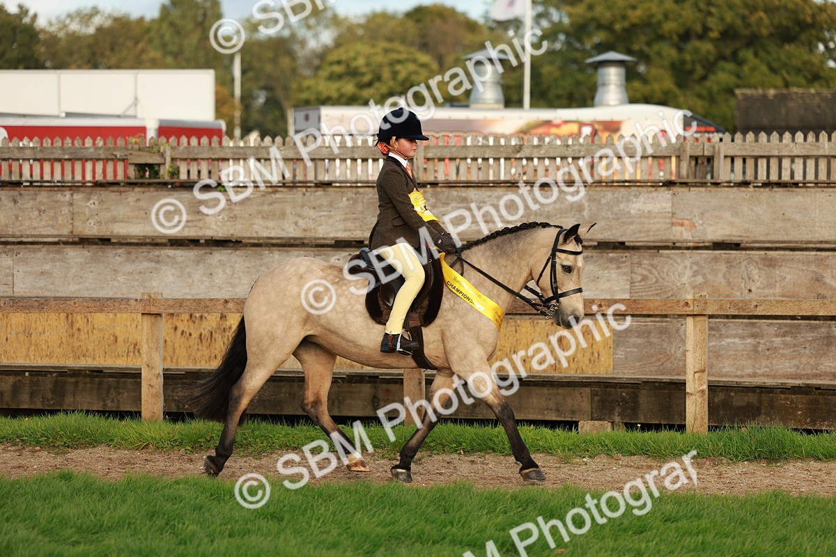 SBM_28925 - S7 - Novice & Newcomer Ridden Pony