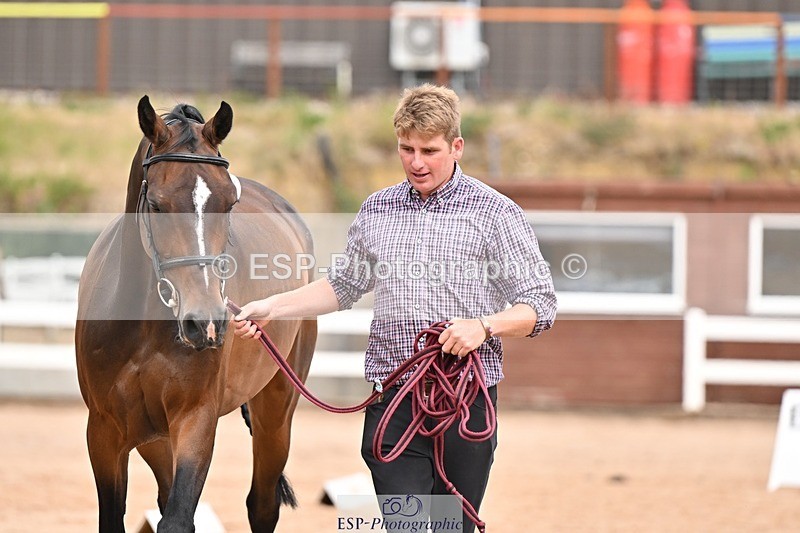 250716-154147-02131 - Trot Up 3.30 to 4.30