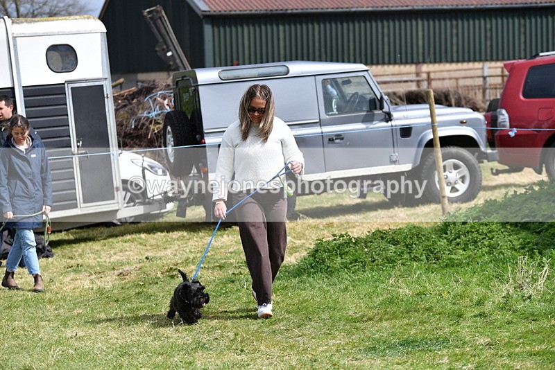 WJ5_0409 - Class 7 Best Terrier