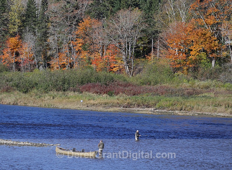 Fly Fishing on the Miramichi - 3 - Sport & Recreation