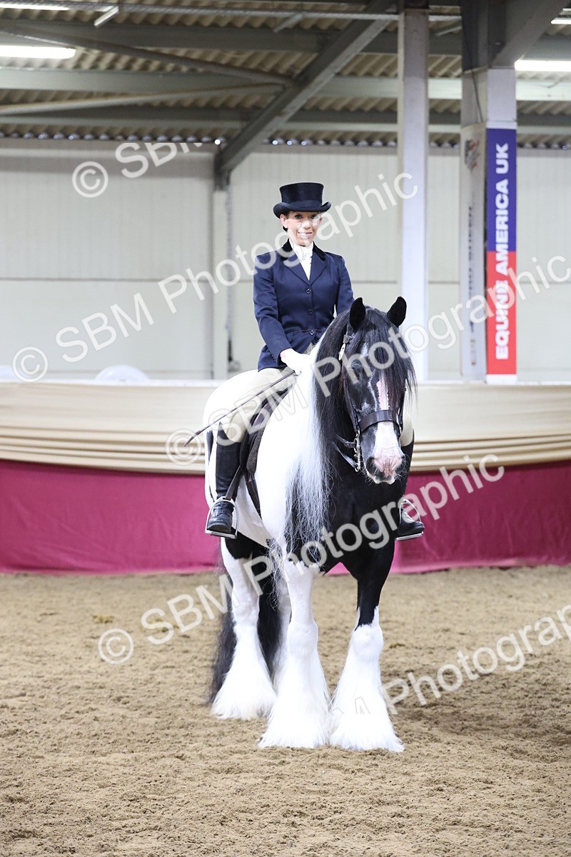 SBM_20182 - Class C - Novalty Champ