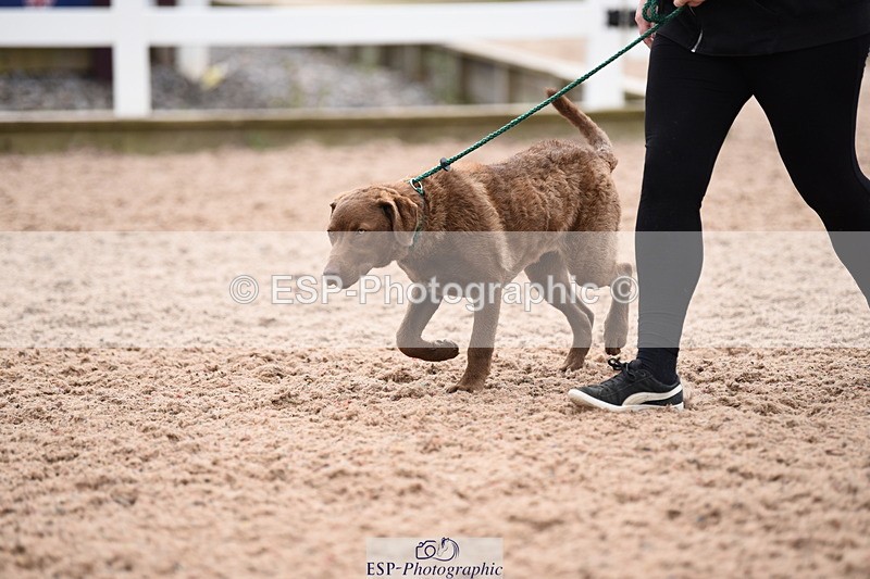 240518A-112142-00759 - Cls 1 Cutest Puppy