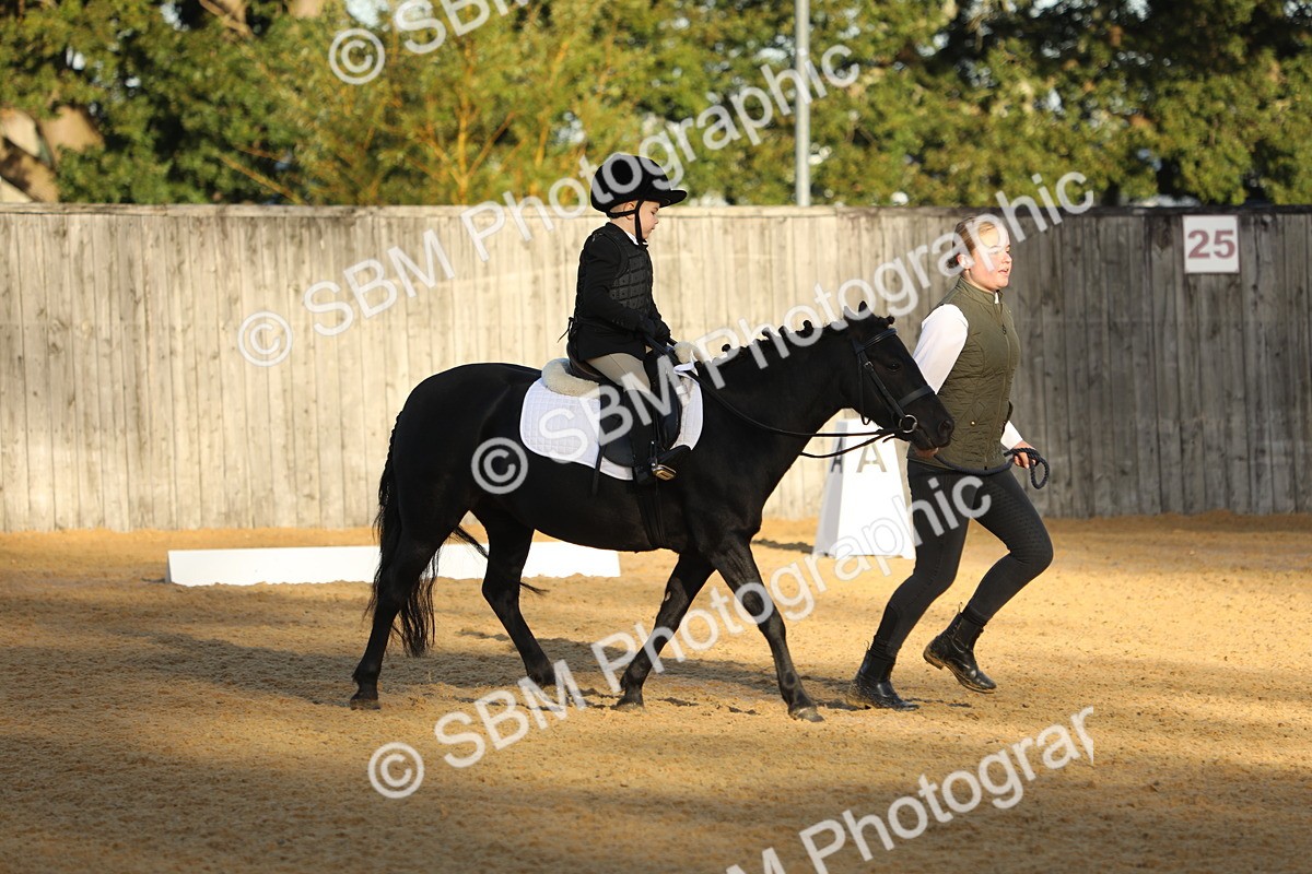 SBM_33564 - D26 - Starers - Lead Rein