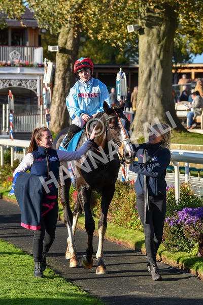 141023-Race 6-Punctuation-1556 - Race 6 4.10pm Coral Get Closer To The Action Handicap
