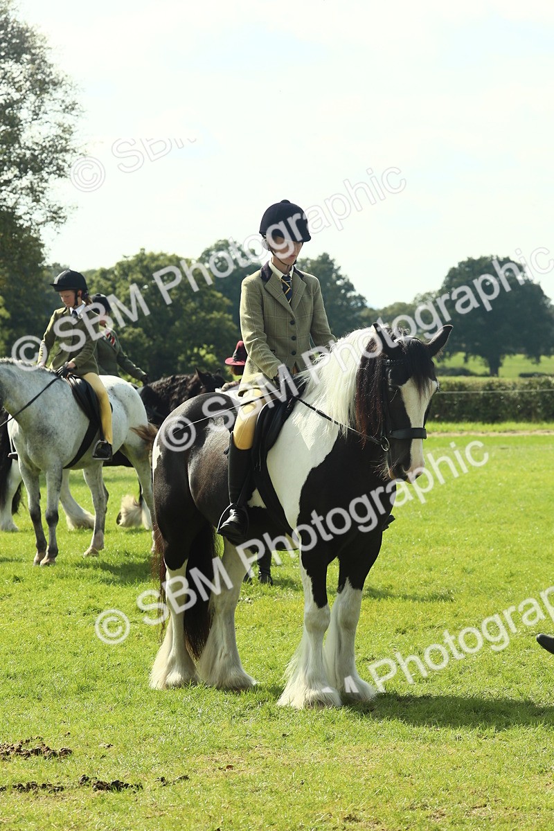SBM_67586 - S56 - Coloured Pony Ridden