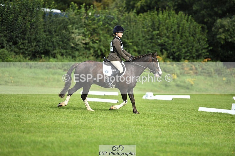 230826-100551-15359 - Sections C & D 9 to 10am