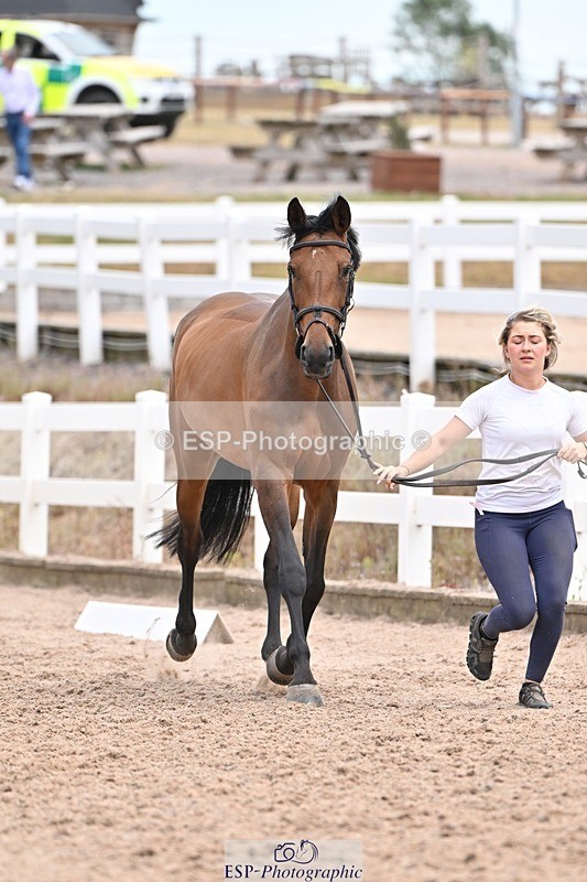 250716-141948-01018 - Trot Up 1.30 to 2.30