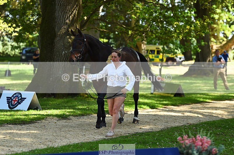 230524-153228-00338 - 357-VIVENDI_HERO-Saffron_Cresswell-WEDTrotUp+DR