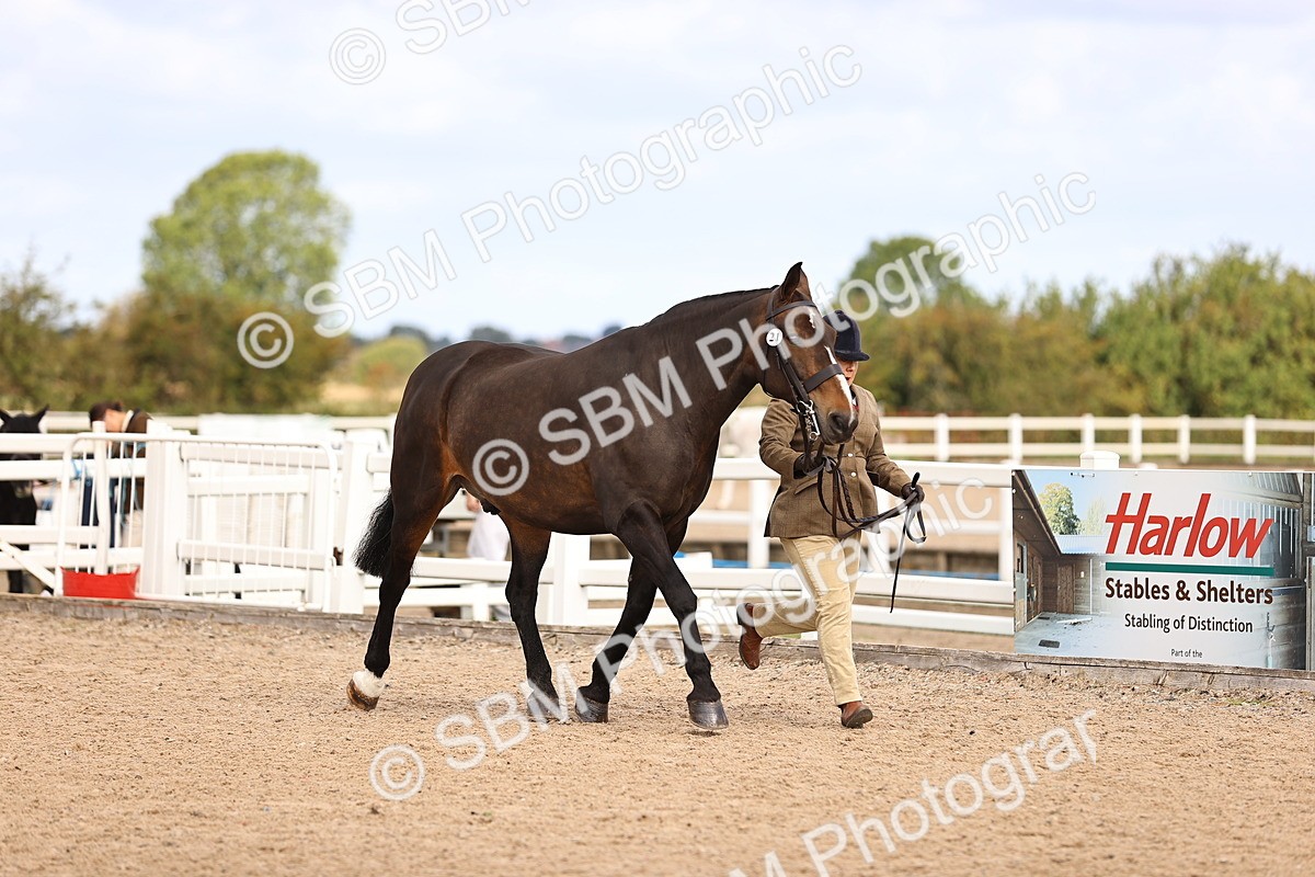 SBM_10357 - Class 405 - IH Show Cob