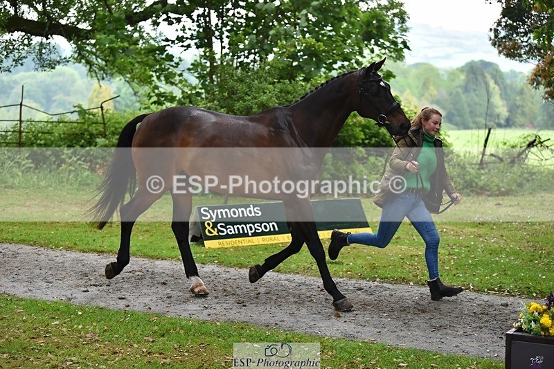 240522-164438-01123 - 218-DALI_III-Natasha_Bailey