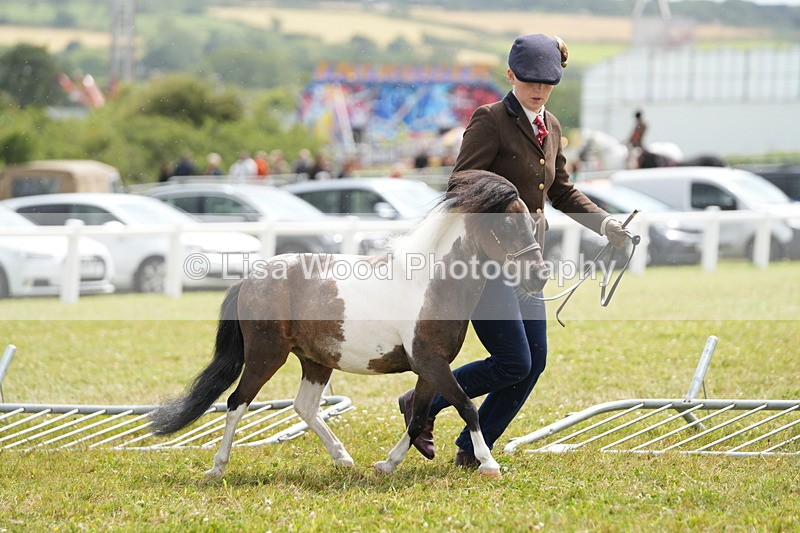 DSC06916 - Class 60: Coloured Pony 4yrs & over