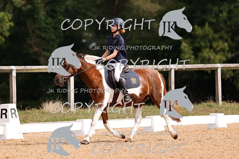 _R6A2312 - Dressage Morning