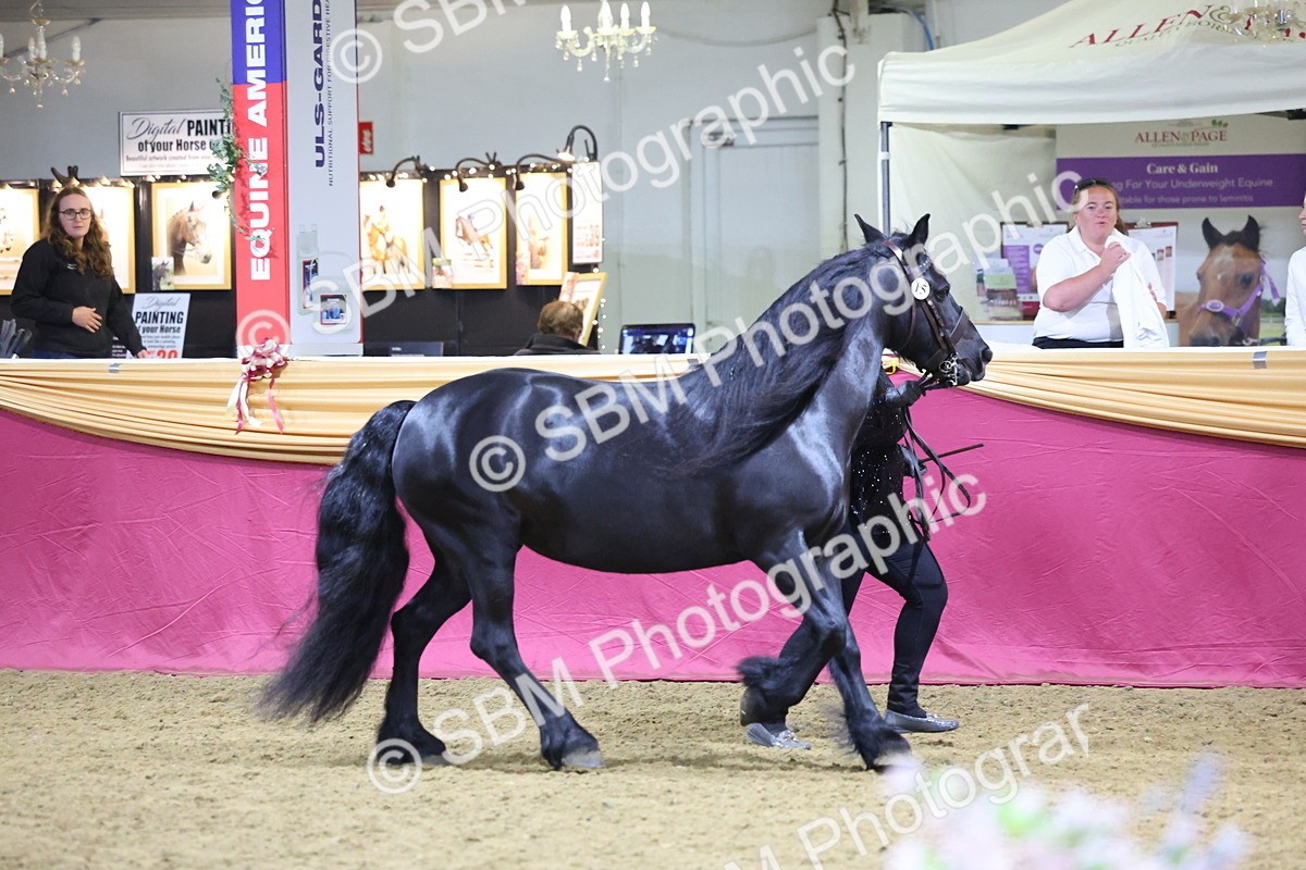 0B8A4539 - Class P Veteran Champ