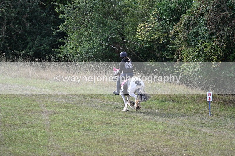 WJ7_4159 - Time 10:54 to 11:16