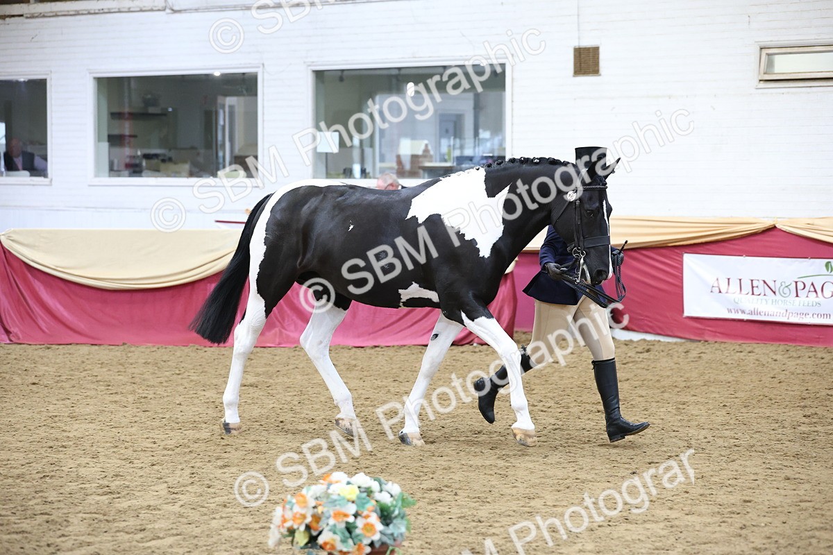 SBM_23663 - class 906 - Supreme Final - Ridden Pre Vet