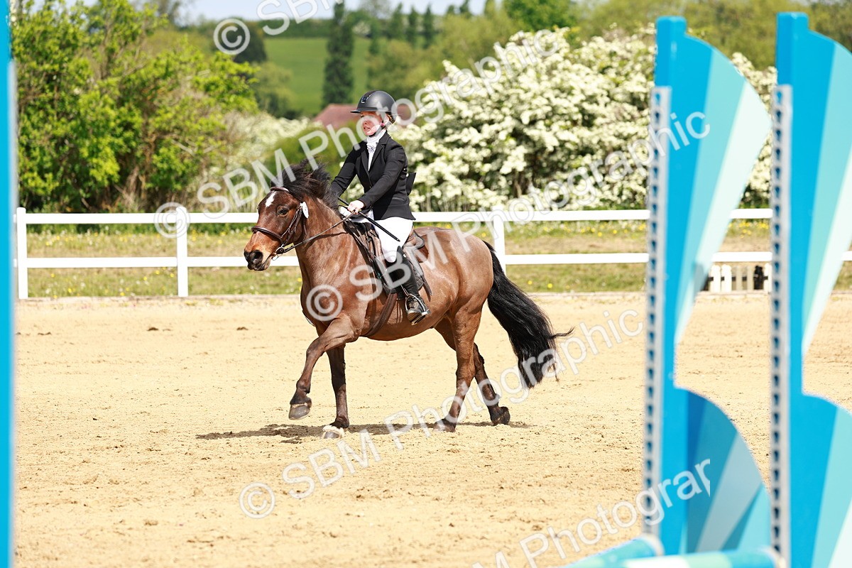 SBM_007940 - Class 3 - 60cm