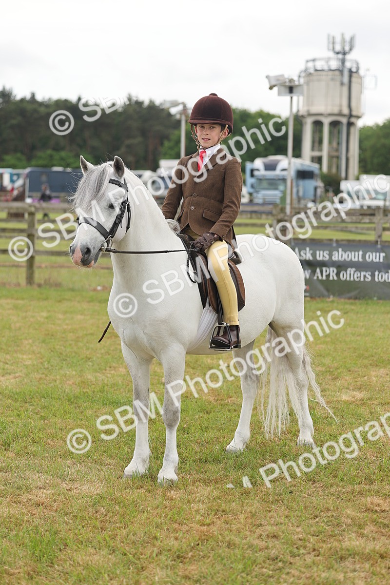 SBM_06879 - Class 74-75 - M&M Lead Rein and First Ridden Pony