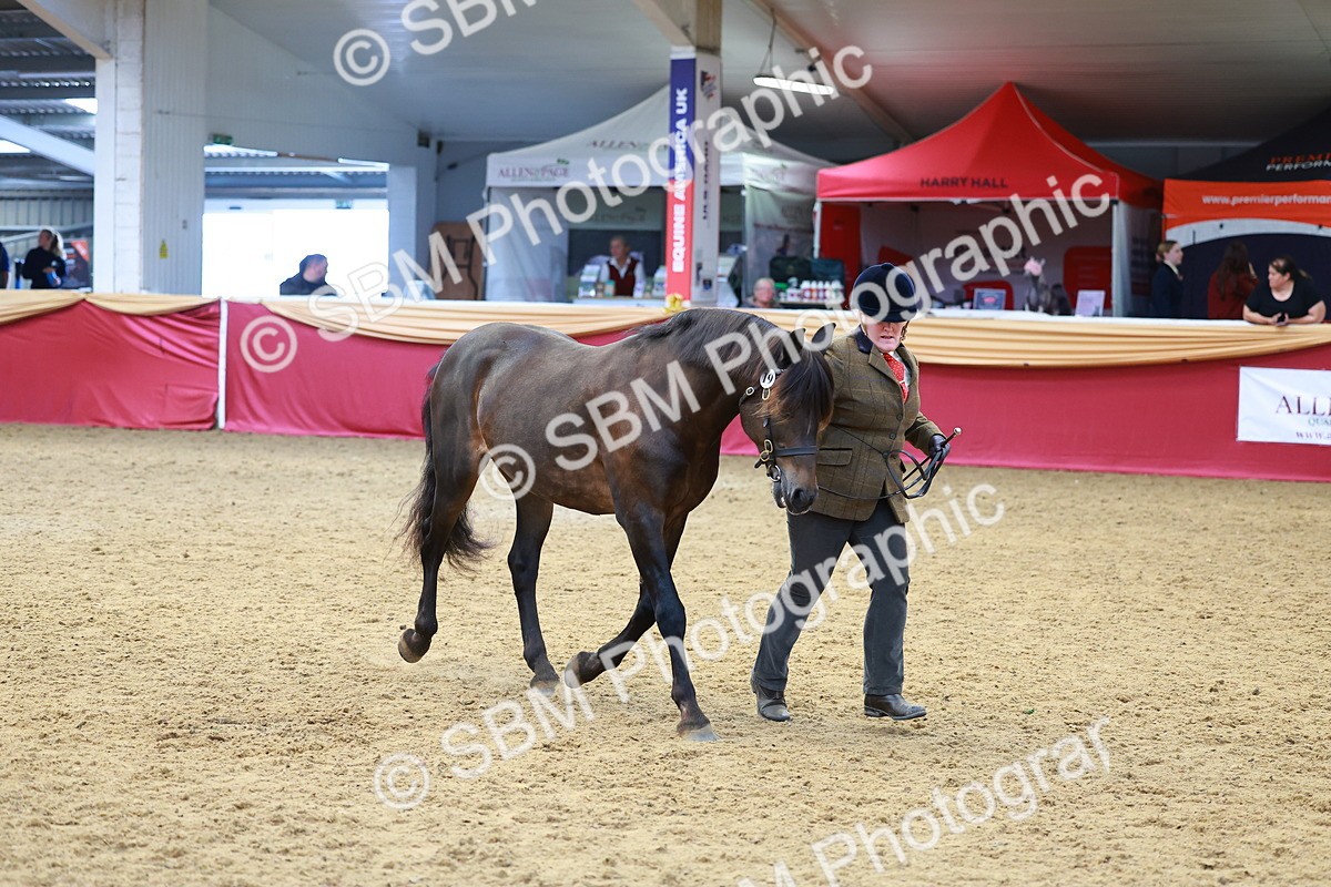 SBM_04128 - Class 9R - IH Pre-Vet