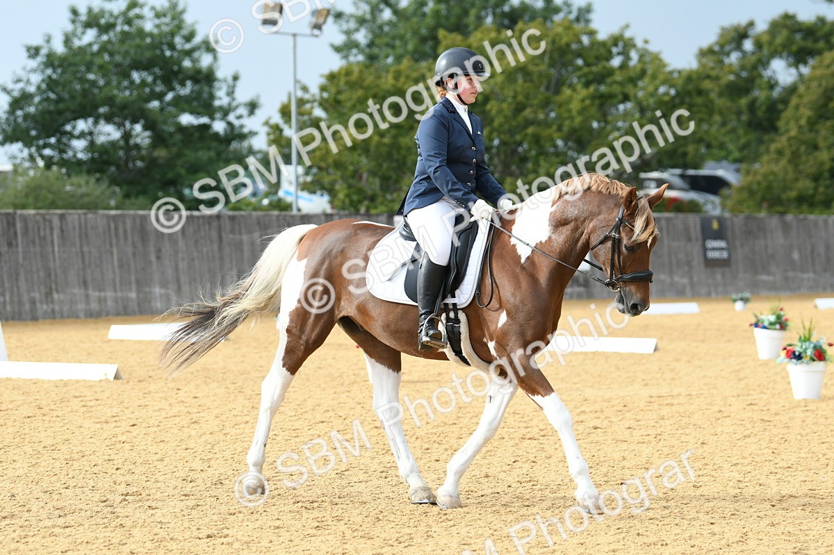 SBM_11051 - D28 Elementary Taster Elementary 42